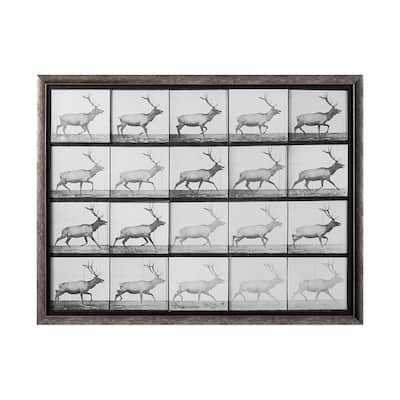 Elk Trotting 56.5L x 1.5W x 43.5H Framed Art Print