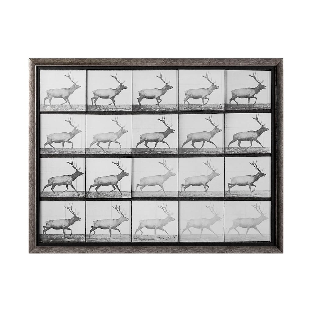 Elk Trotting 56.5L x 1.5W x 43.5H Framed Art Print
