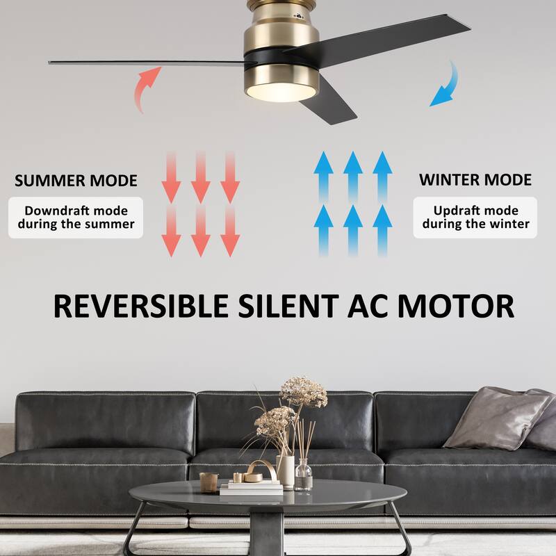 CARRO Aurora 52" 3-Blade Indoor Smart Ceiling Fan with Light and Wall Control