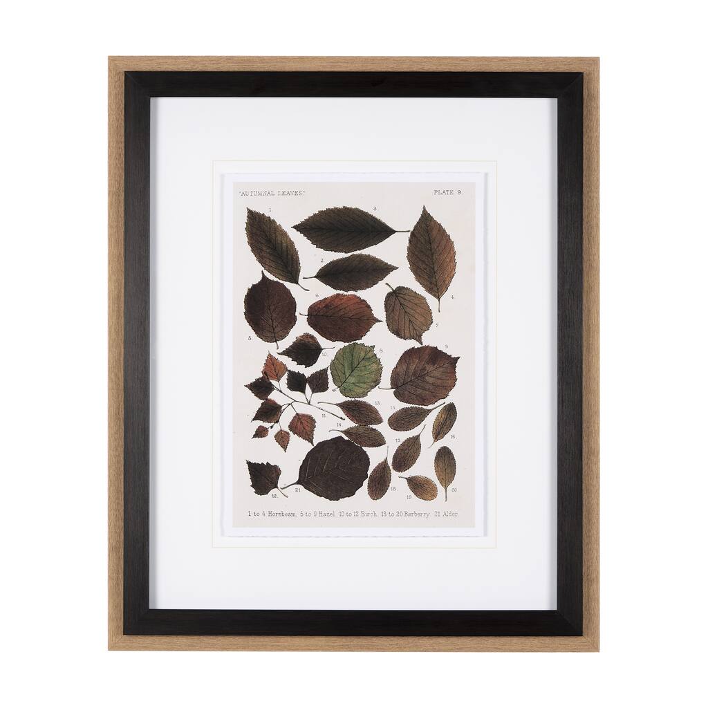Autumnal Leaves VI Framed Art Print