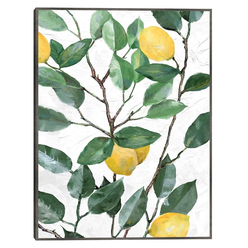 Lemon Tree By Studio Arts Canvas Art Print - Bed Bath & Beyond - 38859314