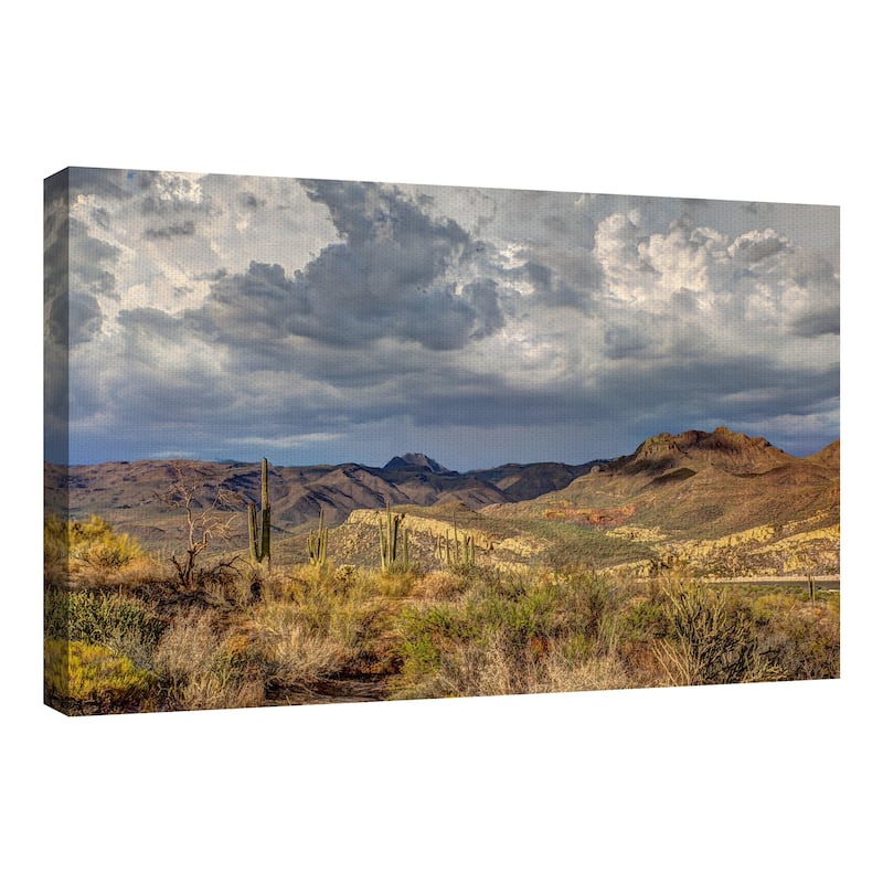 Stormy Dessert by Robert Murray Canvas Art Print