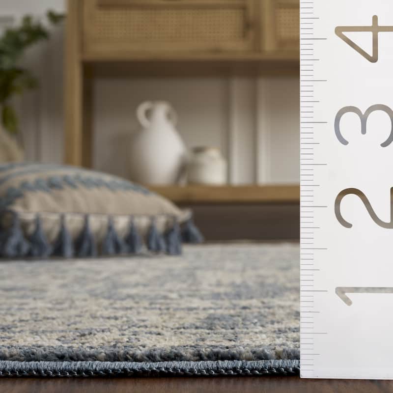 SAFAVIEH Whitney Neassa Bohemian & Eclectic Rug