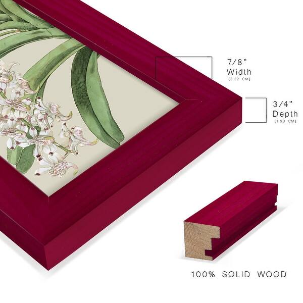 dimension image slide 1 of 15, Orchid Blooms I -Framed Print w/glass-Cherry Red