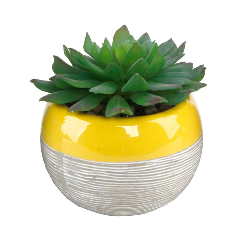 Succulent in Two tone lines pattern ceramic pot ,Teal - ONE-SIZE - Yellow