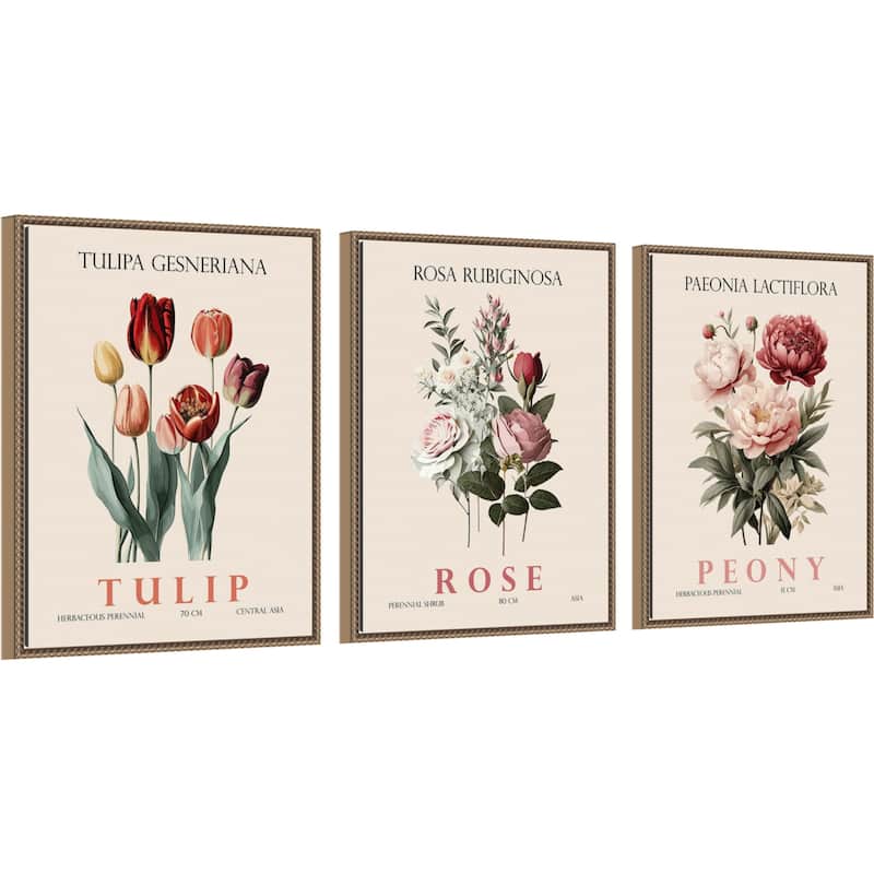 Amanti Art Vintage Rose Peony and Tulip 3 Piece by Christopher Giampietro Framed Canvas Wall Art