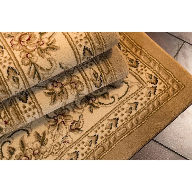 Dynamic Rugs Legacy Traditional Area Rug