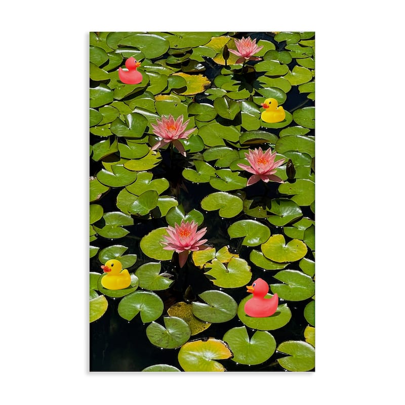 Stupell Rubber Ducks on Pond Lilies Canvas Wall Art Design By Ashley Singleton - 16 x 24