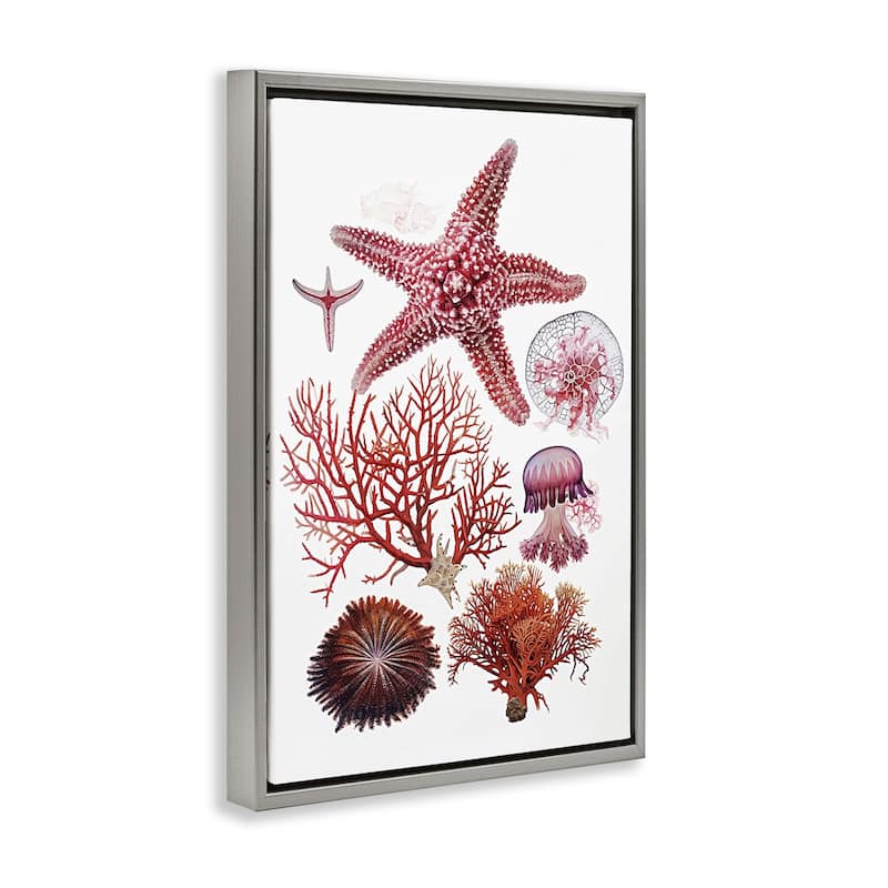 Stupell Rosy Undersea Creatures Framed Floater Canvas Wall Art Design By Ramona Murdock