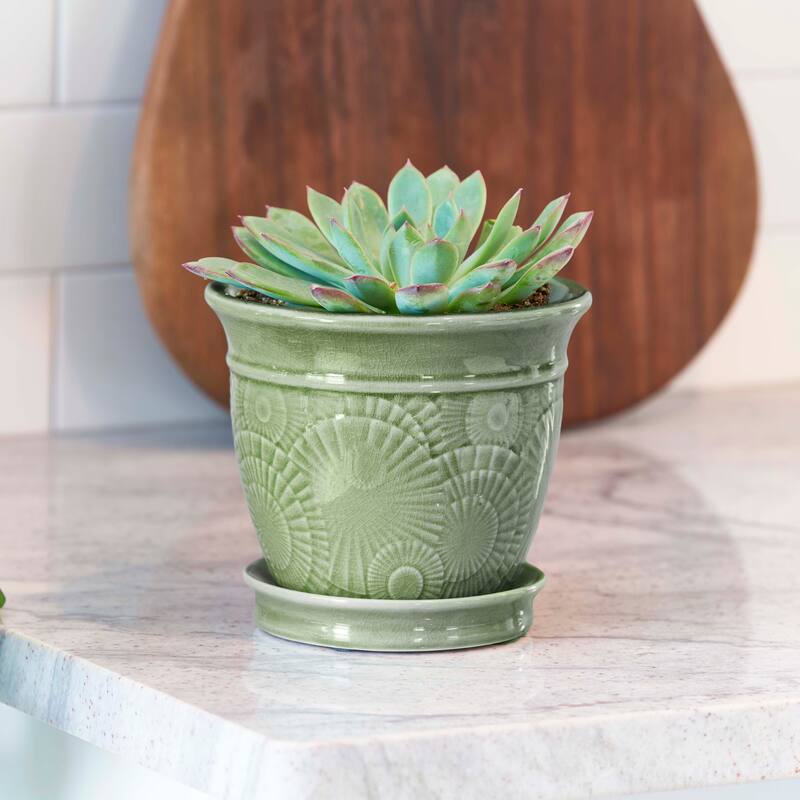 Southern Patio Annandale Celadon Ceramic 6-inch Planter with Built-in Saucer
