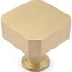 Option Satin Brass