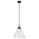 Option Black Antique Brass / Seedy