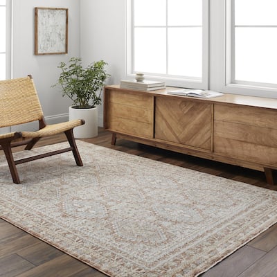 Anabelle Vintage Oriental Area Rug