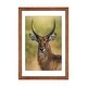 preview thumbnail 4 of 18, iCanvas "Mr. Waterbuck" by Patsy Weingart PFA Walnut - 24x16x1
