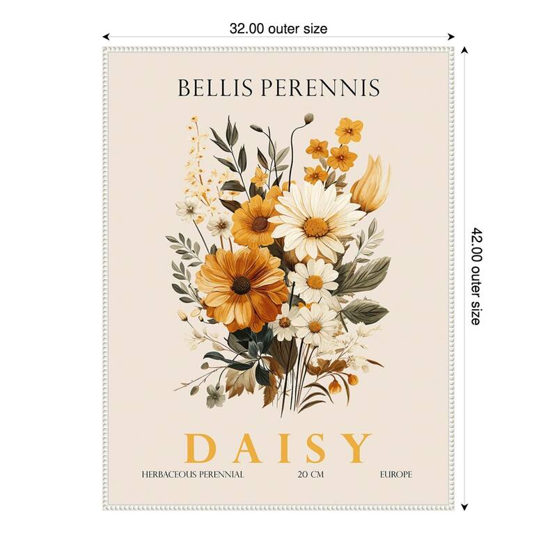 Vintage Botanical Daisy Illustration by Christopher Giampietro Framed Canvas Wall Art Print - White - 32 x 42 in