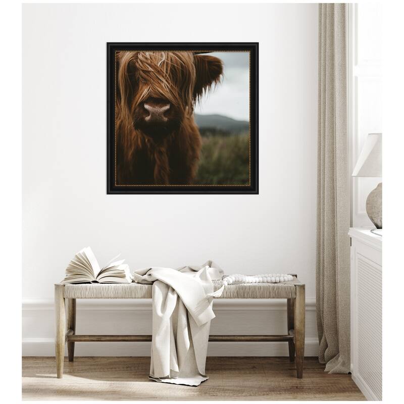Kate and Laurel Close Up of Scottish Highland Cattle Baby SQ by Michael Schauer Framed Wall Art Print