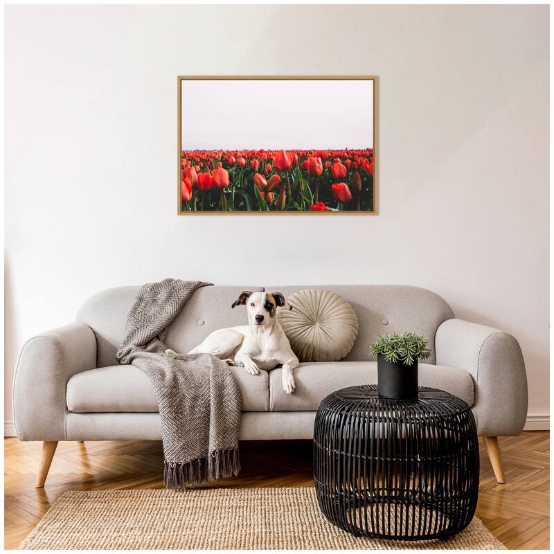 Kate and Laurel Sylvie Vibrant Red Tulip Flower Field Framed Canvas by Patricia Hasz of Patricia Rae Photography