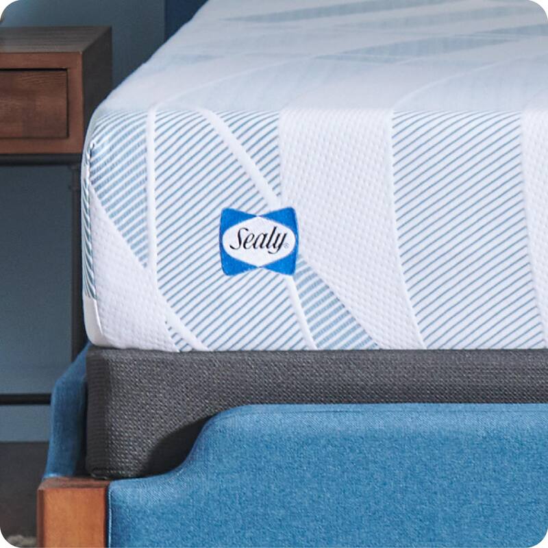 Sealy Dreamlife 10" Foam Mattress-in-a-Box