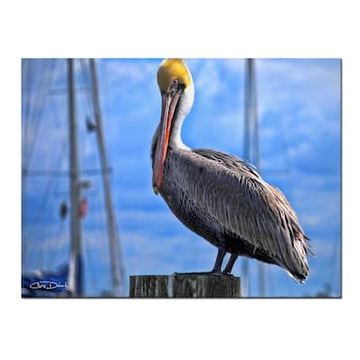 Ready2HangArt 'Pelican' Wrapped Canvas Wall Art