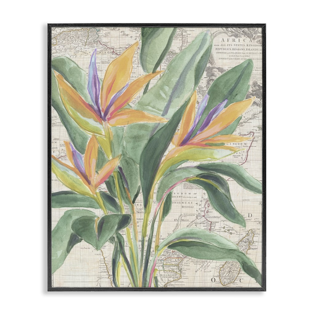 Stupell Bird of Paradise over Map Framed Giclee Art Design By June Erica Vess