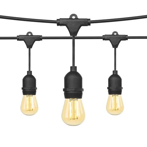 Ove Decors S14 III 48 ft. String Lights Black and Amber Glass Bulbs