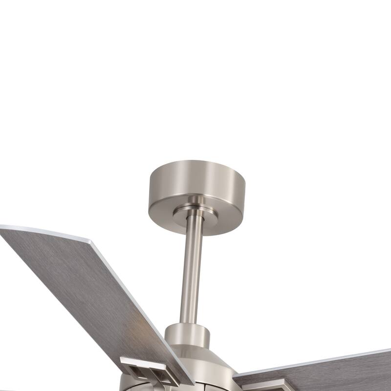 52" Reversible 5-Blade Caged Ceiling Fan with Light and Remote