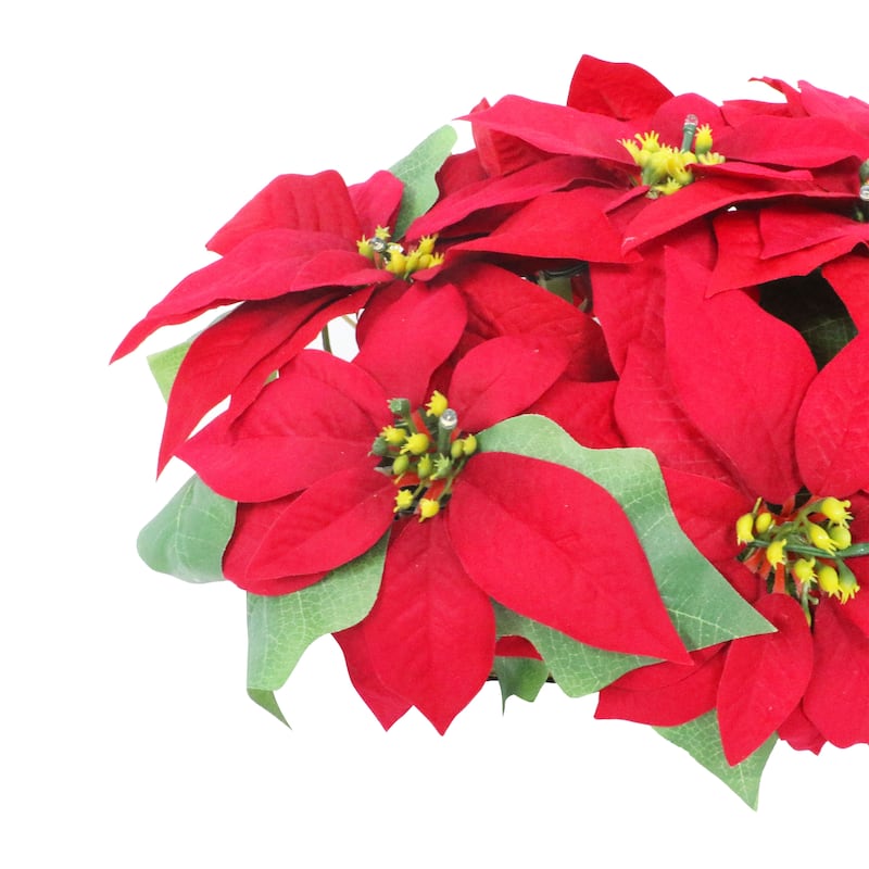 Puleo International 24" Pre-Lit Battery-Operated Artificial Red Poinsettia Window Box Décor