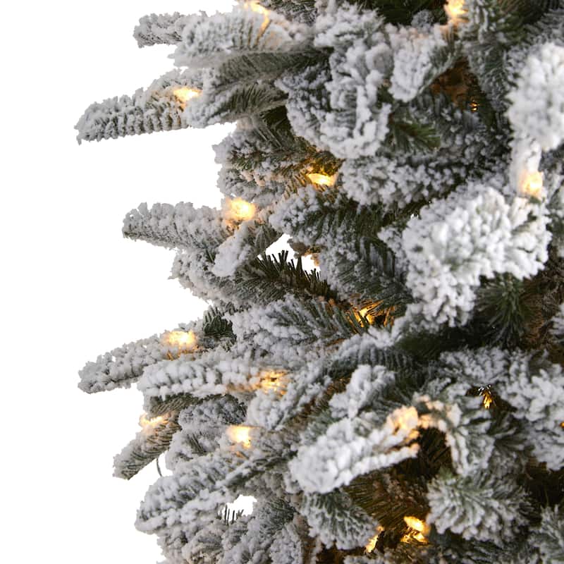 7' Flocked North Carolina Fir Artificial Christmas Tree, Clear Lights - 7 Foot