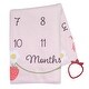 preview thumbnail 6 of 4, Lambs & Ivy Strawberry Patch Milestone Photo Opportunity Fleece Baby Blanket