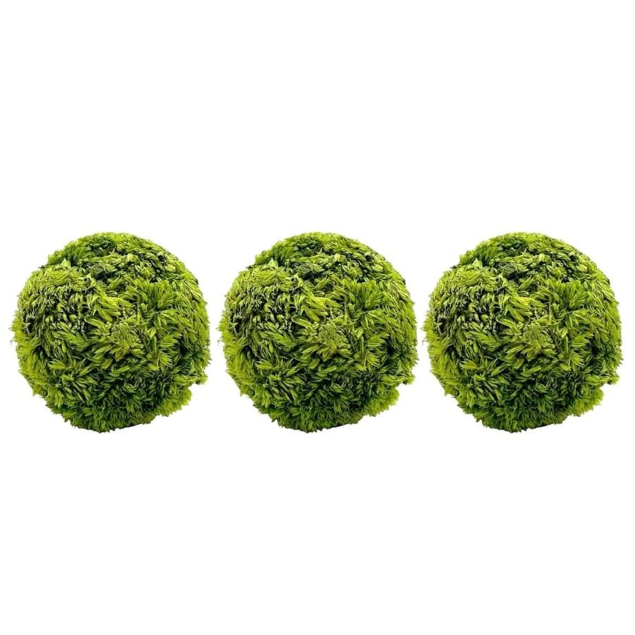 Preserved Cockscomb Topiary Balls Bowl Filler Vase Filler Decorative Orb - 4 x 4 x 4 inch