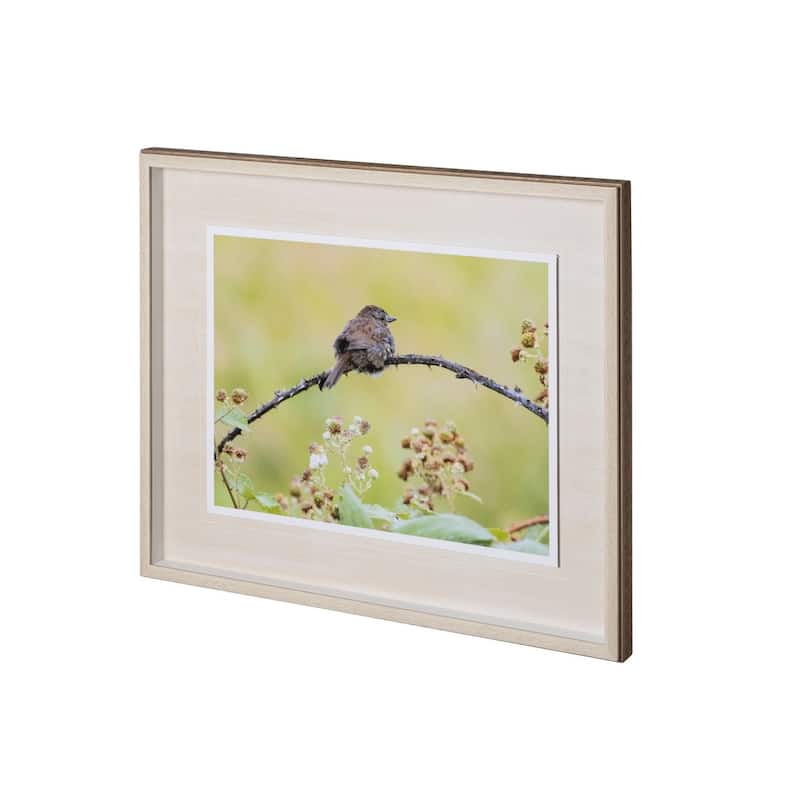 Avian I Framed Art Print