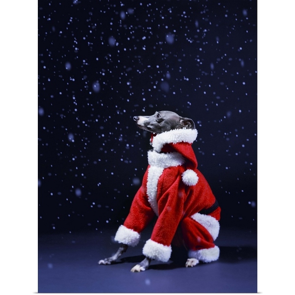 Santa print suit top