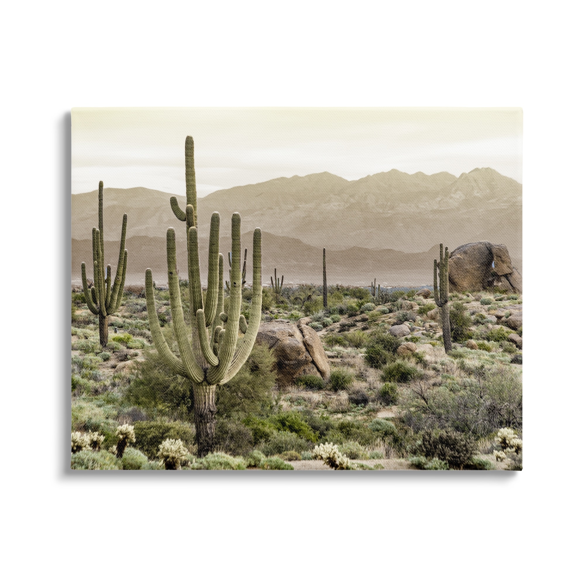 Stupell Rocky Desert Landscape Canvas Wall Art Design by Kim Allen