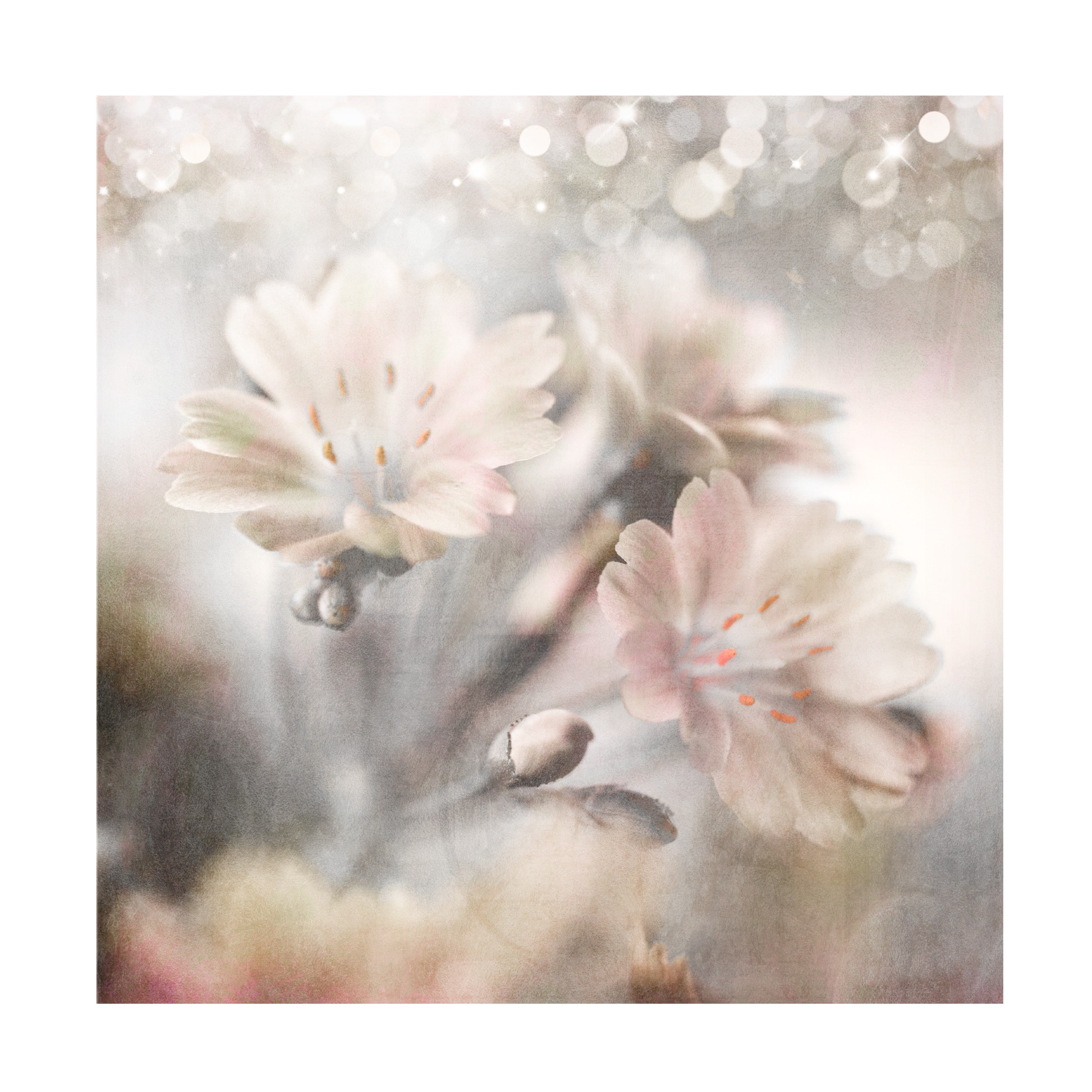 LightBoxJournal 'Paris 03' Canvas Art