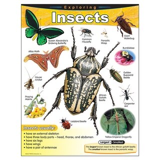 Chevrons Insect Trend enterprises inc chart exploring insects gr 1-5 8184 - Bed Bath ...