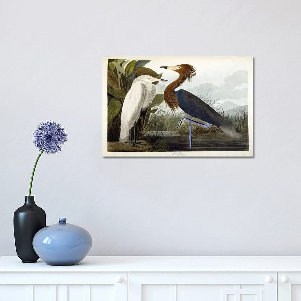 iCanvas "Purple Heron, c.1835" by John James Audubon Canvas Print