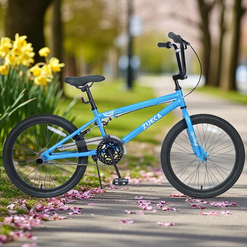 20 Inch Freestyle Kids Bike, Single Speed, Steel Frame with Caliper and V Brakes, Boys & Girls Ages 7+