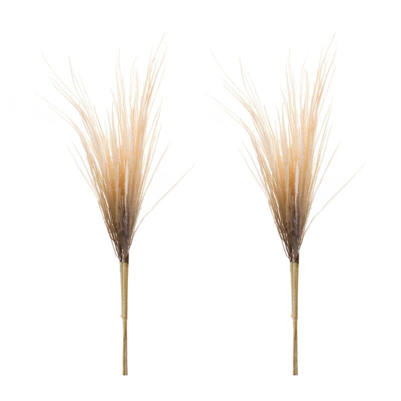 Grass Plume Bundle (Set of 2)