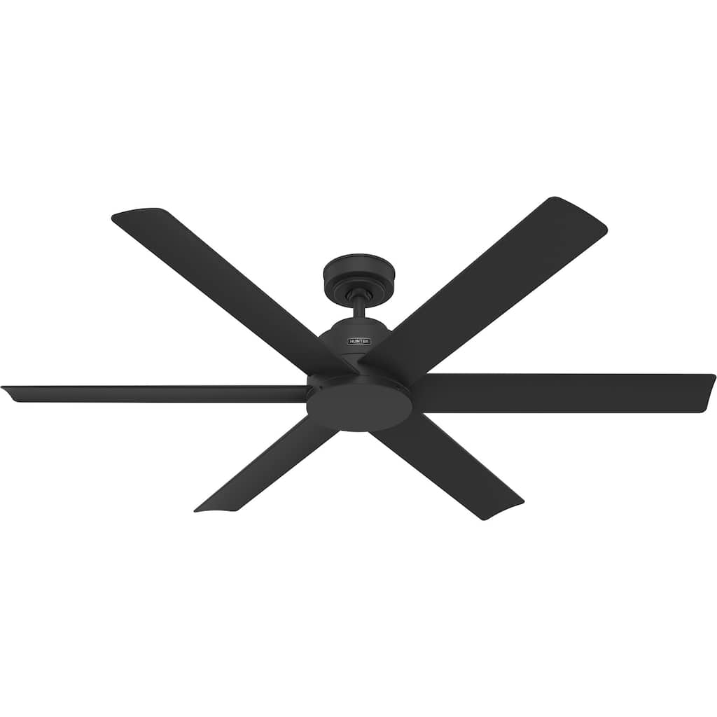 Hunter 60'' Kennicott ENERGY STAR Outdoor Ceiling Fan and Wall Control - DAMP RATED!