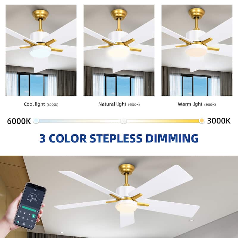 Moasis 52 Inch Dimmable Ceiling Fan with Light Remote and APP Control