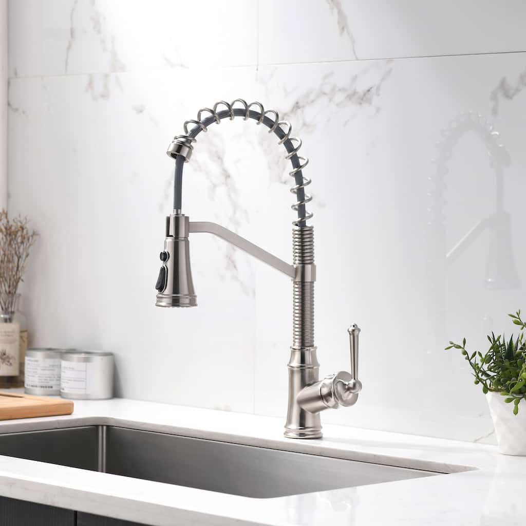 Kitchen Faucet with Pull Down