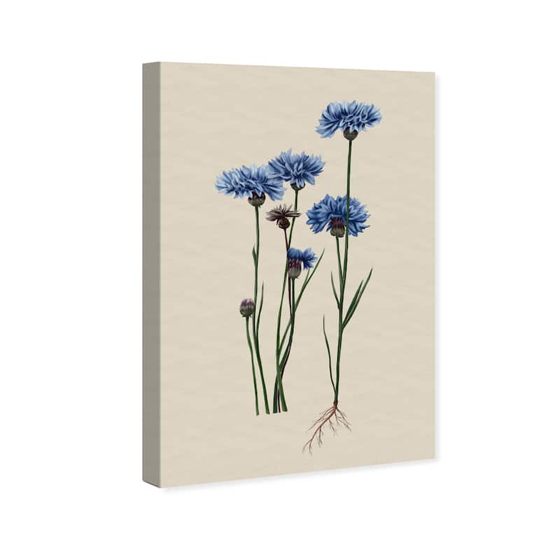 Wynwood Studio Canvas Floral and Botanical Flower Illustration Blue and Farmhouse Wall Art Canvas Print