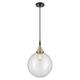 Option Clear Shade / Black Antique Brass
