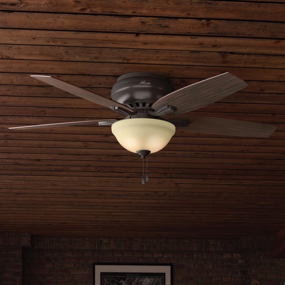 Hunter 52" Newsome Flush Mount Ceiling Fan with LED Bowl Light Kit and Pull Chain