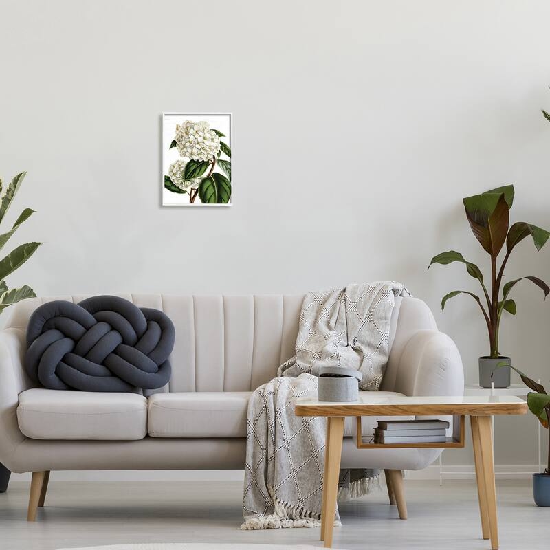 Stupell Begonia Opuliflora Flower Stem Vintage Botanical Study Framed Wall Art, Design by Lettered and Lined - Green