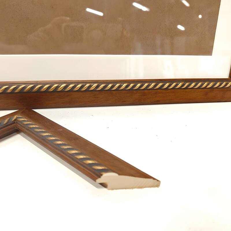 Set of 2 Peacock Feather Framed Wall Art - Replaceable Canvas Prints with Solid Wood Picture Frames, Elegant Botanical