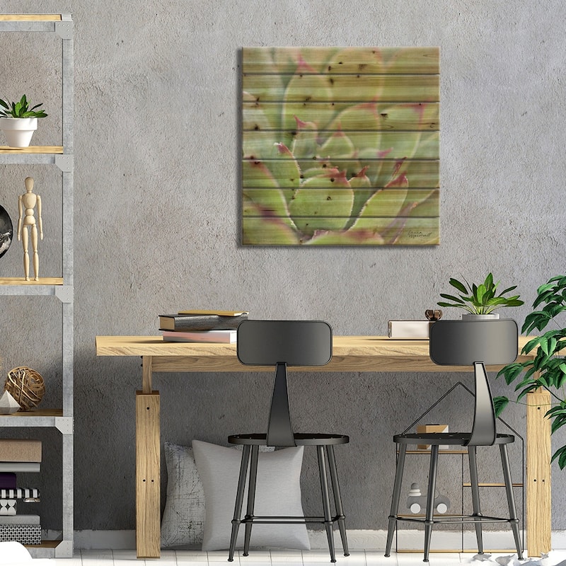 Garden Succulents I Print On Wood by Laura Marshall - Multi-Color
