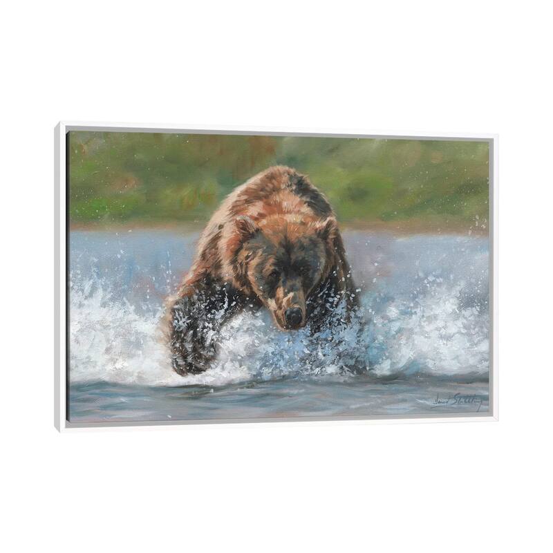 iCanvas "Brown Bear Grizzly Charge" by David Stribbling Framed - White - 18x26