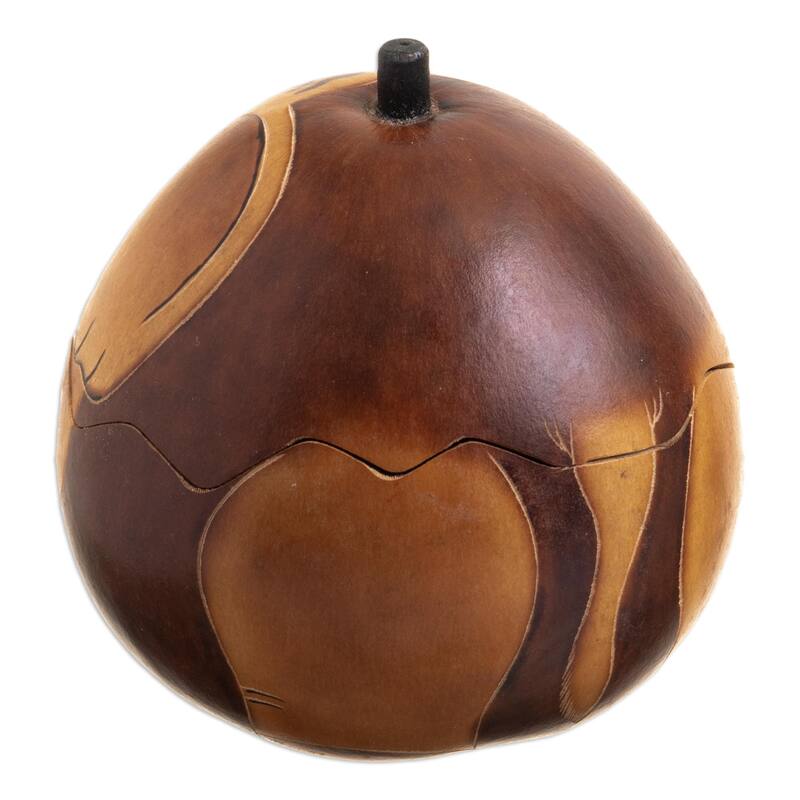 Novica Handmade Earth Tone Elephant Dried Mate Gourd Decorative Box