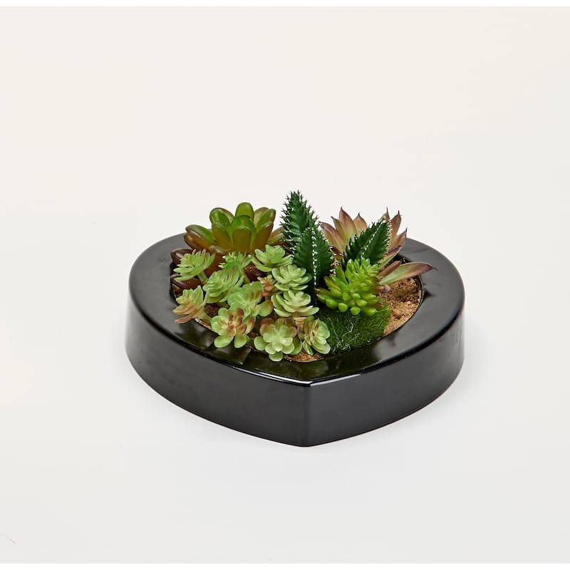 Mixed Succulents in 7" Heart Shapped Plastic Container - Green - 7